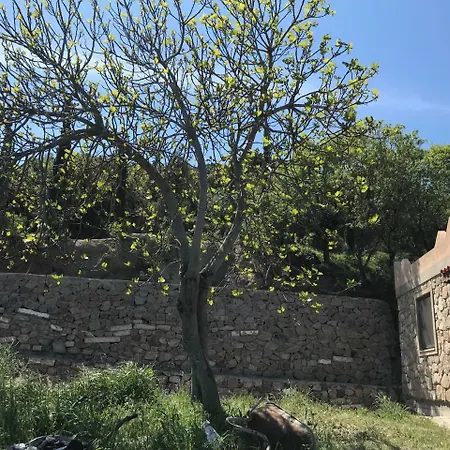 Vila Bodrum Village - Detached Pool Ortakent